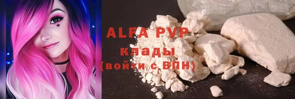 твердый Богданович
