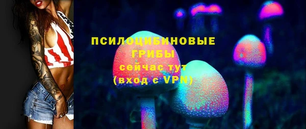твердый Богданович