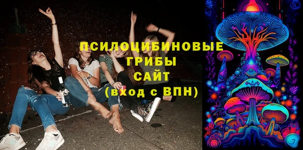 твердый Богданович