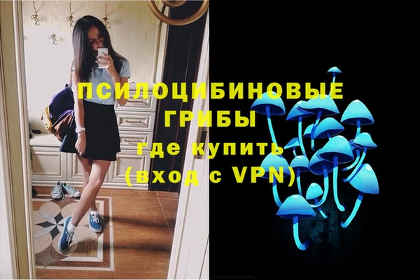 твердый Богданович