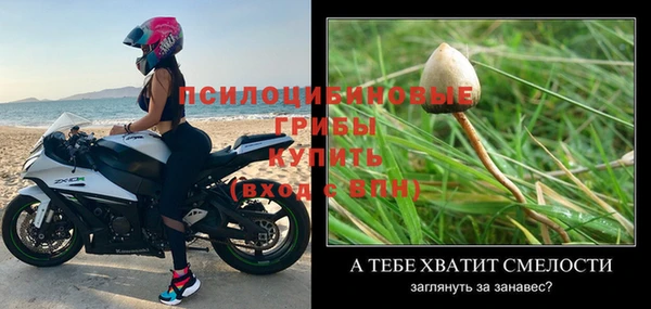 экстази Богородицк
