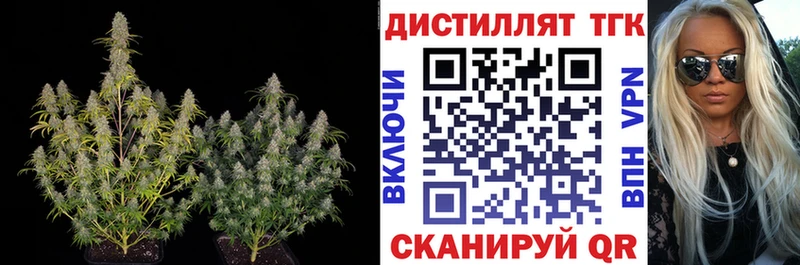 дарк нет какой сайт  Ильский  ТГК вейп  блэк спрут ТОР 