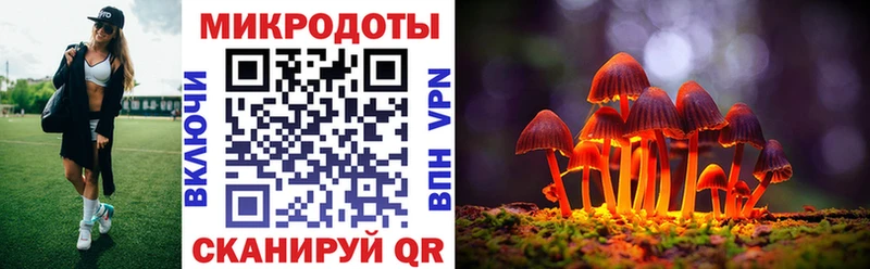 Псилоцибиновые грибы Psilocybe  Ильский 