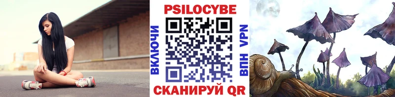 Галлюциногенные грибы Psilocybine cubensis Ильский